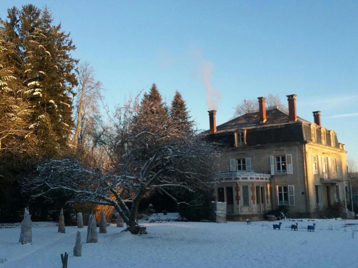 Maisonmazerand Cirey-sur-Vezouze Zewnętrze zdjęcie