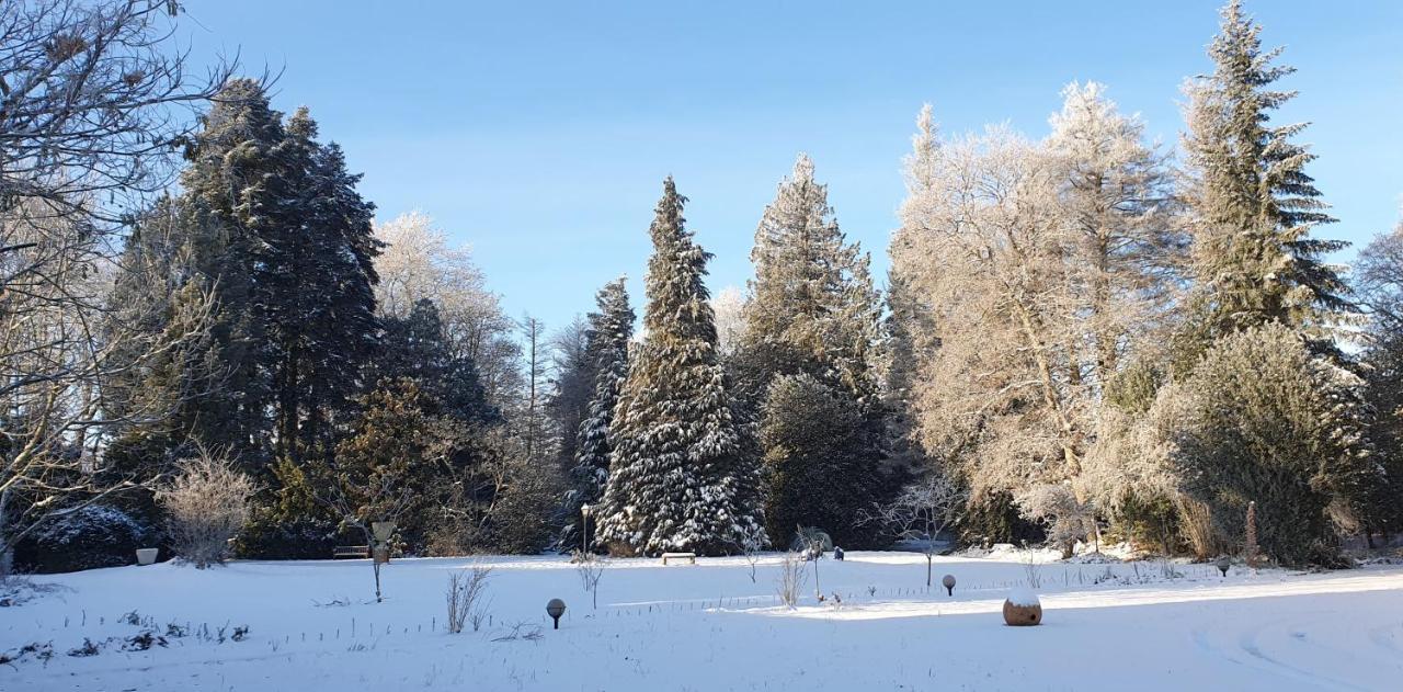 Maisonmazerand Cirey-sur-Vezouze Zewnętrze zdjęcie