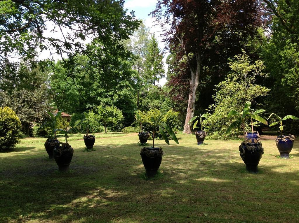 Maisonmazerand Cirey-sur-Vezouze Zewnętrze zdjęcie