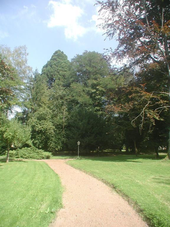 Maisonmazerand Cirey-sur-Vezouze Zewnętrze zdjęcie