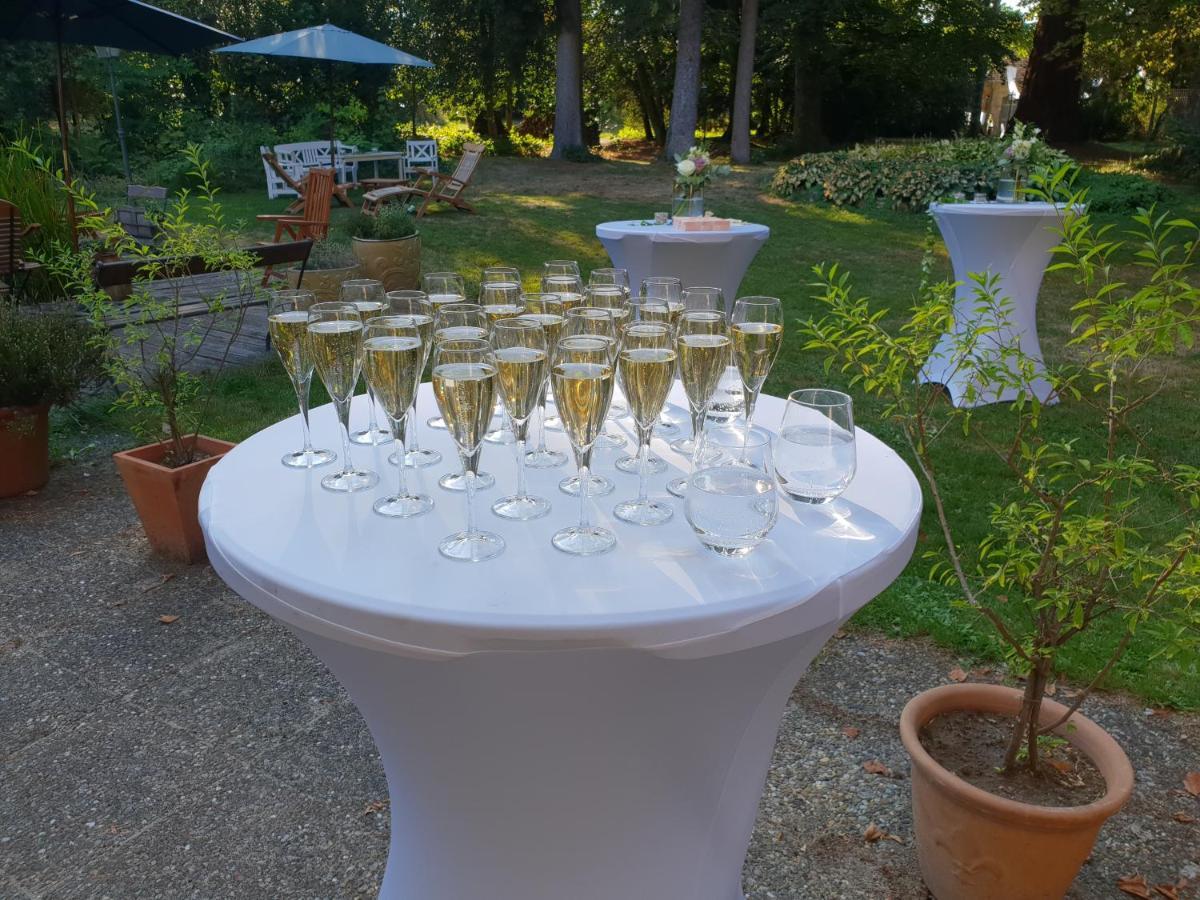 Maisonmazerand Cirey-sur-Vezouze Zewnętrze zdjęcie
